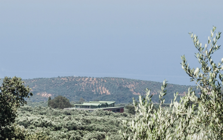 ELAIOURGEIO-PYLOS-_02B.png