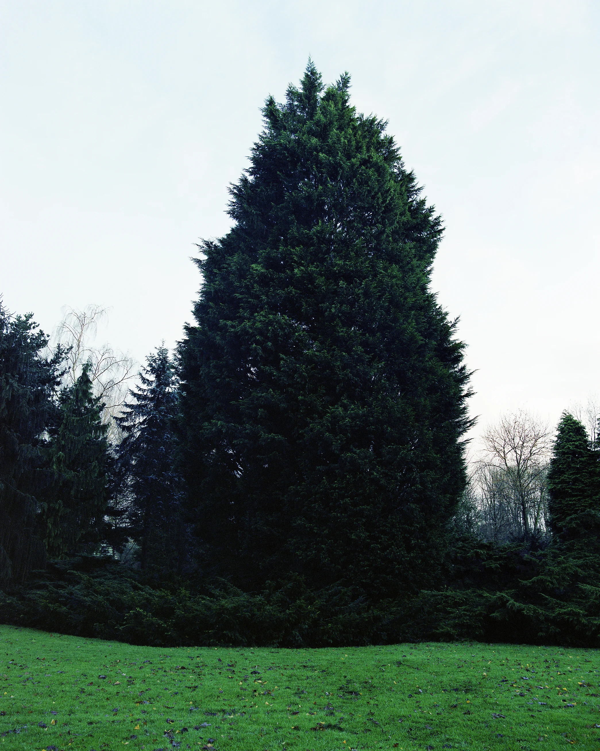Amstelpark-13_UM_PRINT.jpg