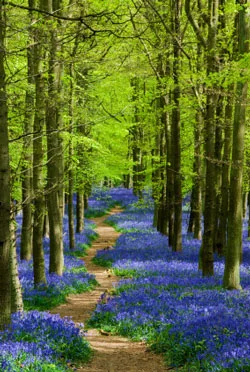 meandering.jpg