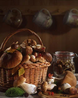 mushrooms.jpg