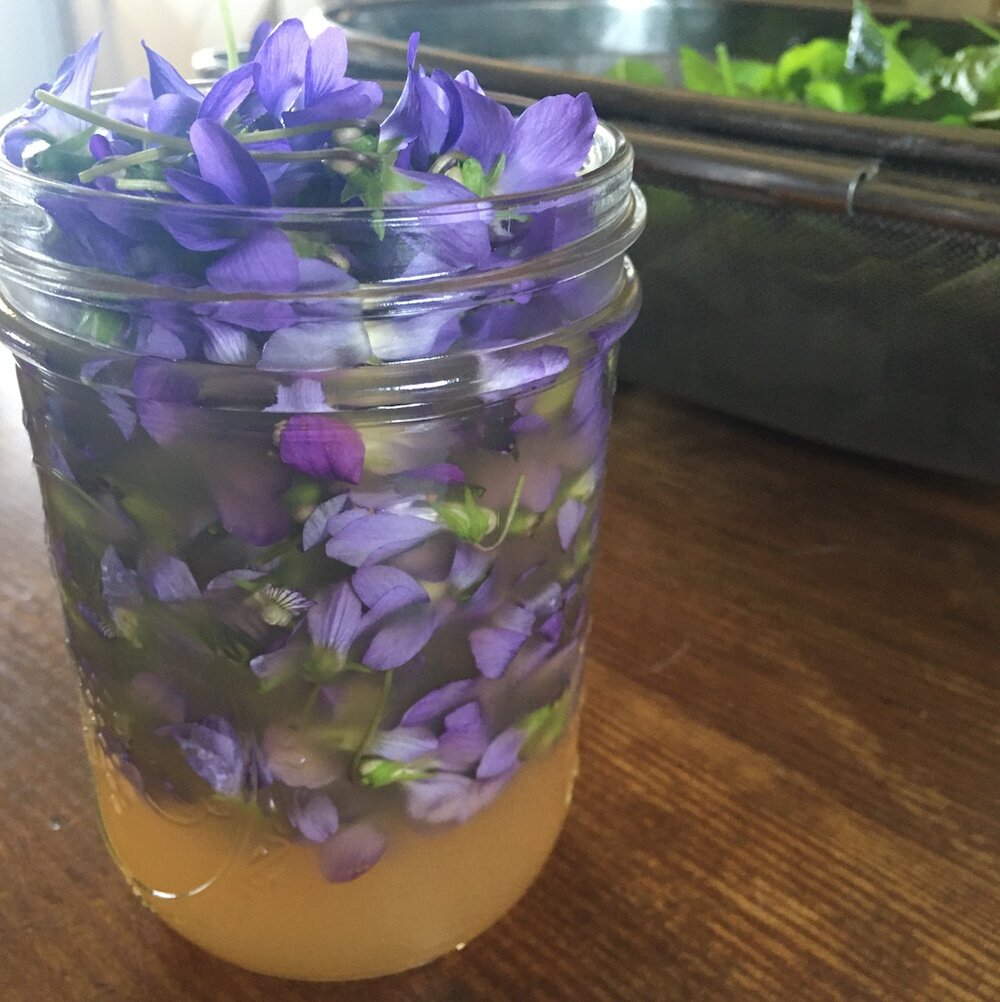 violet vinegar day 1 - 2020 @ gina loree bryan