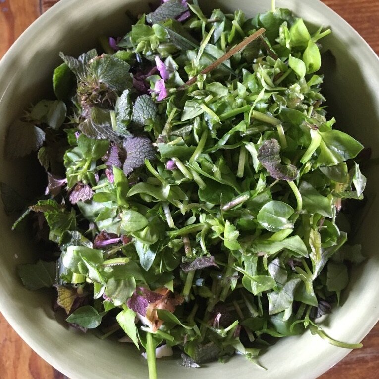 weed salad - 2020 @ gina loree bryan
