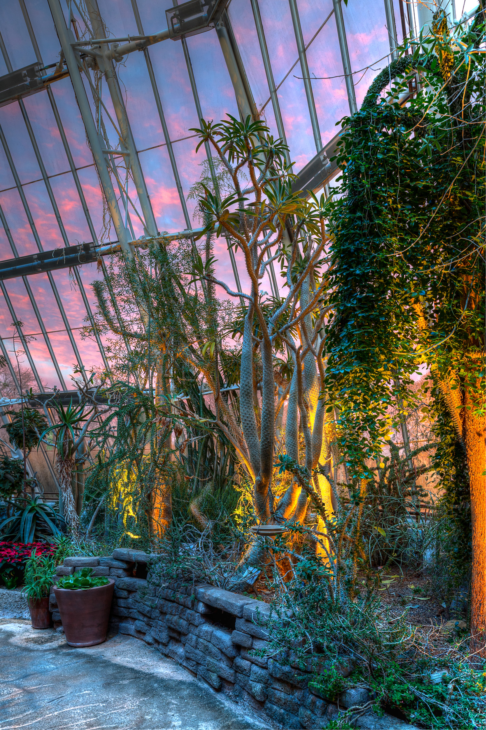 Cleveland Botanical Garden Glasshouse Tec Studio Inc