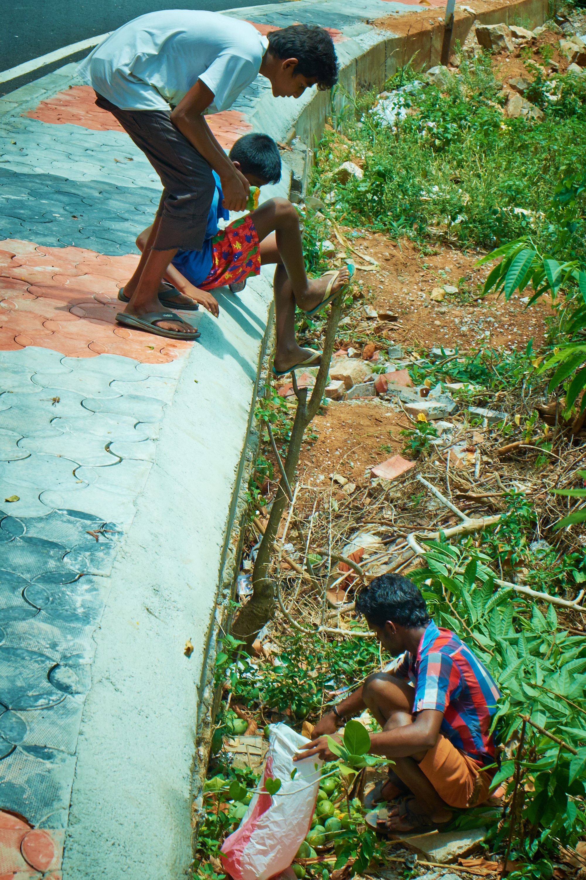 Mango Stash, Kollam.