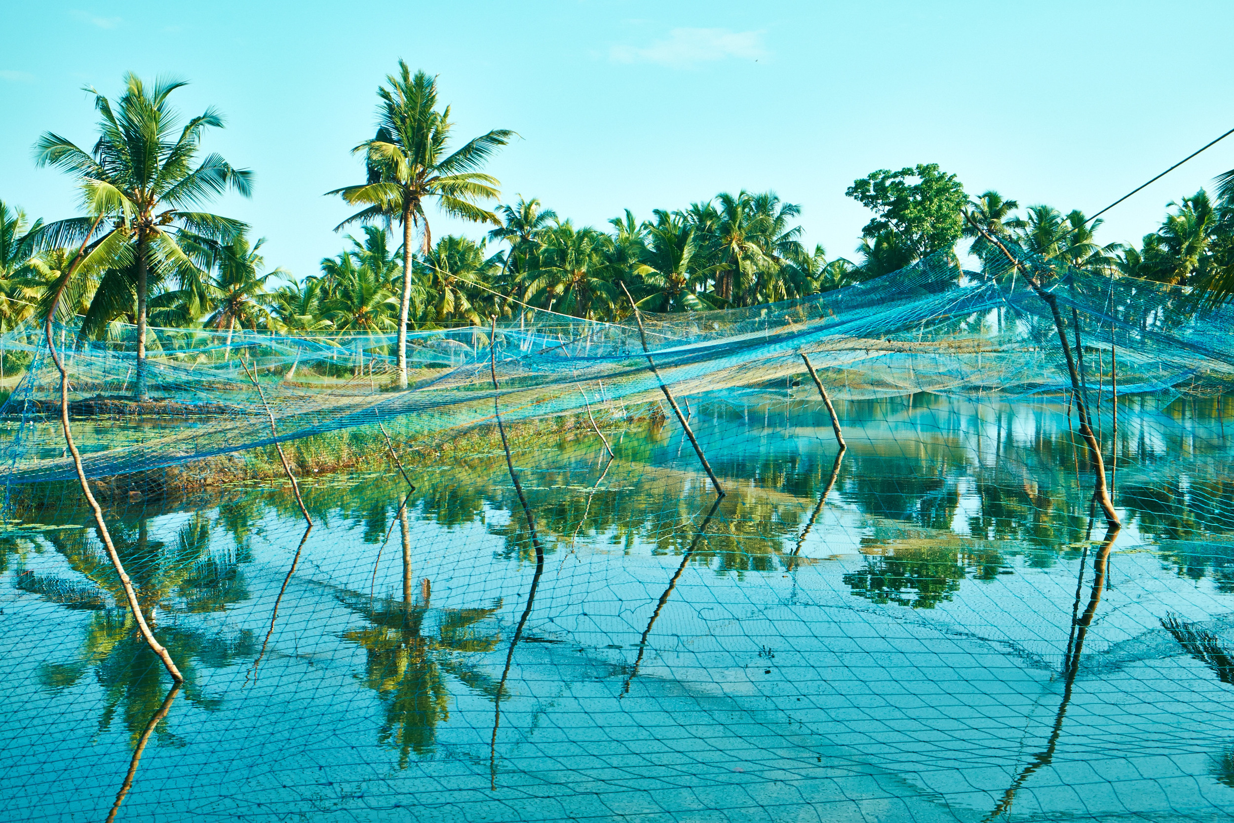 Prawn Farms, Munroe Island.