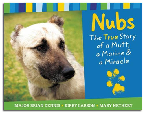 nubs.png