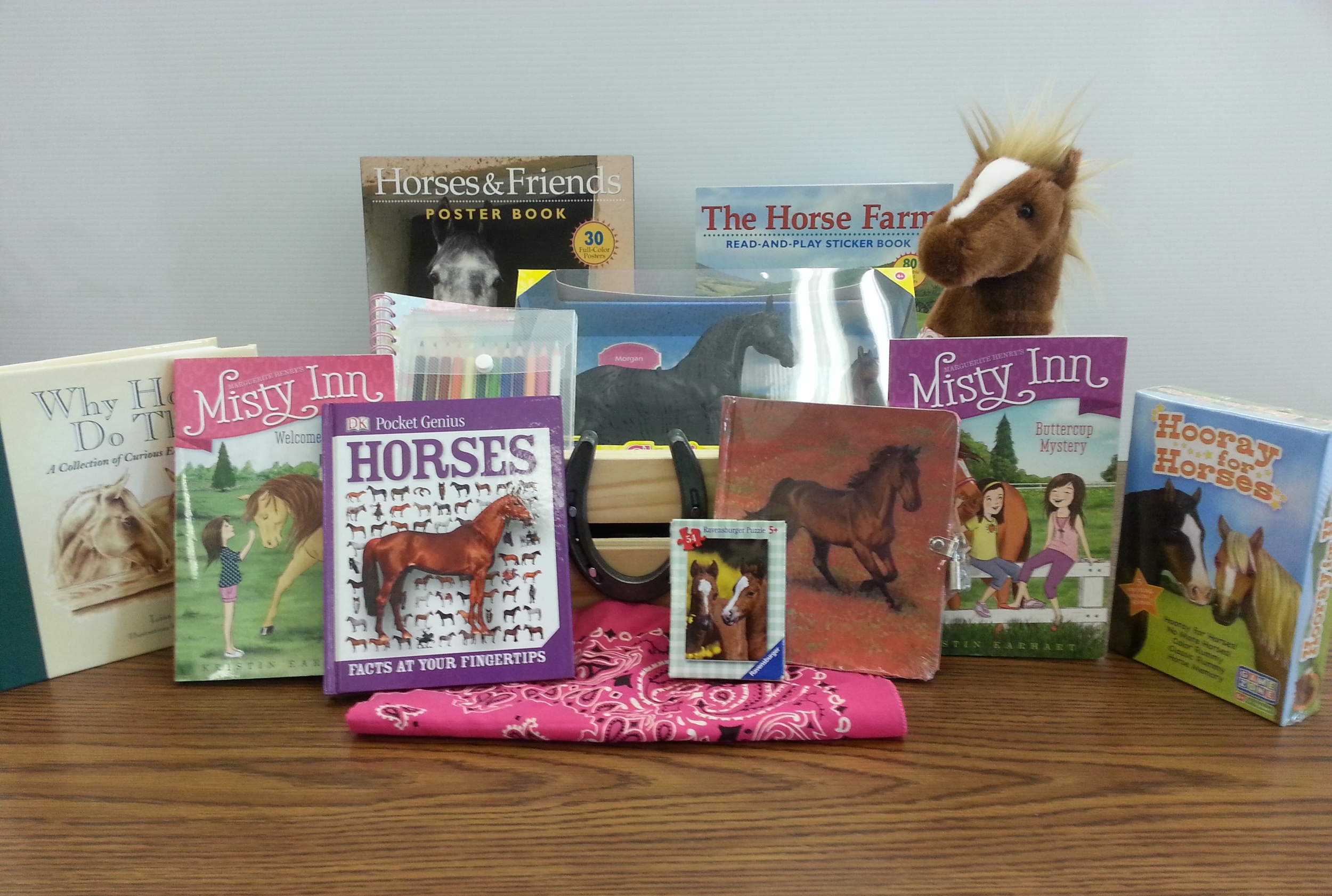 #17: Having Fun with Horses