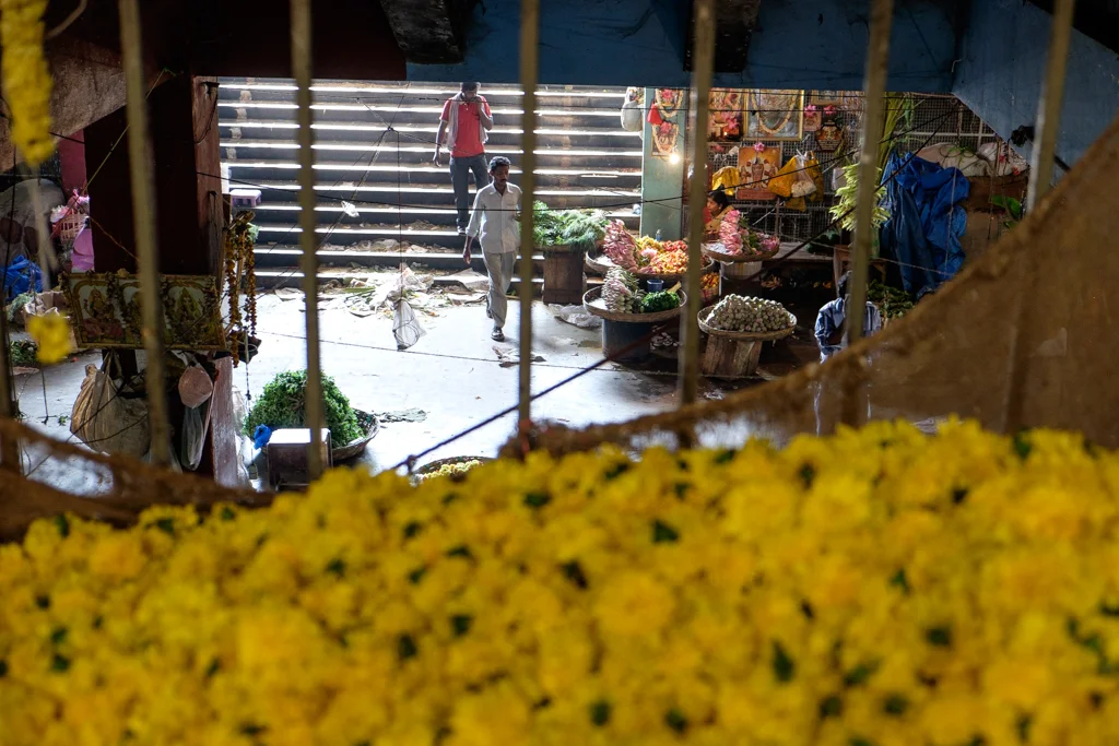 DSCF2651.jpg