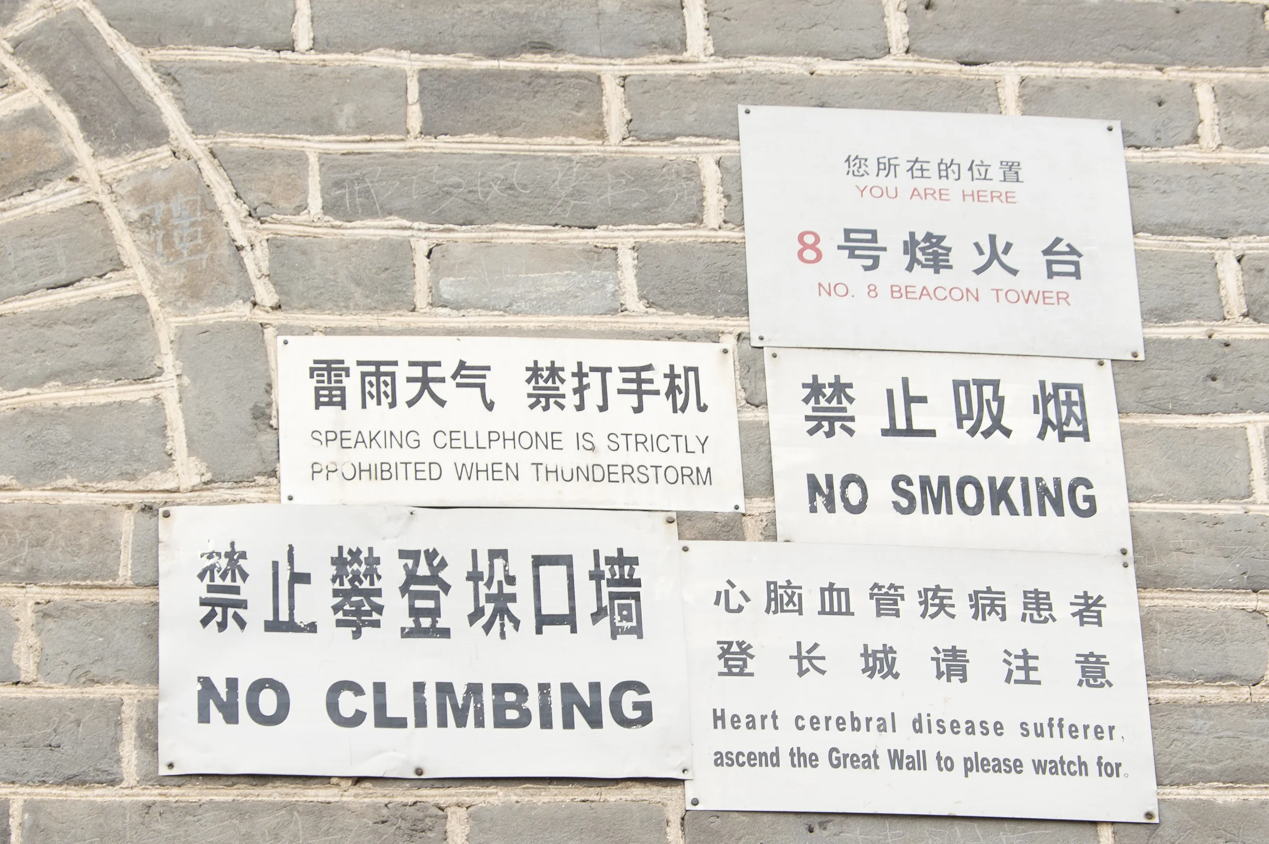 DSCF3556.jpg