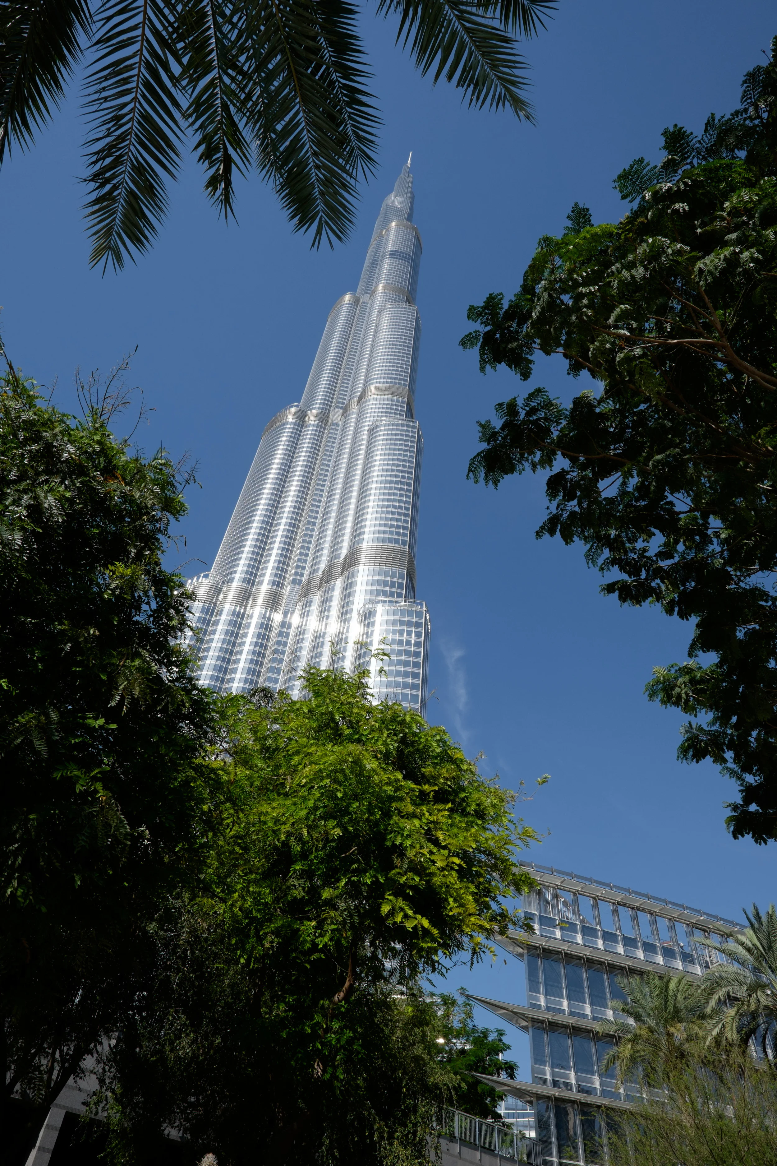 DSCF1762.jpg