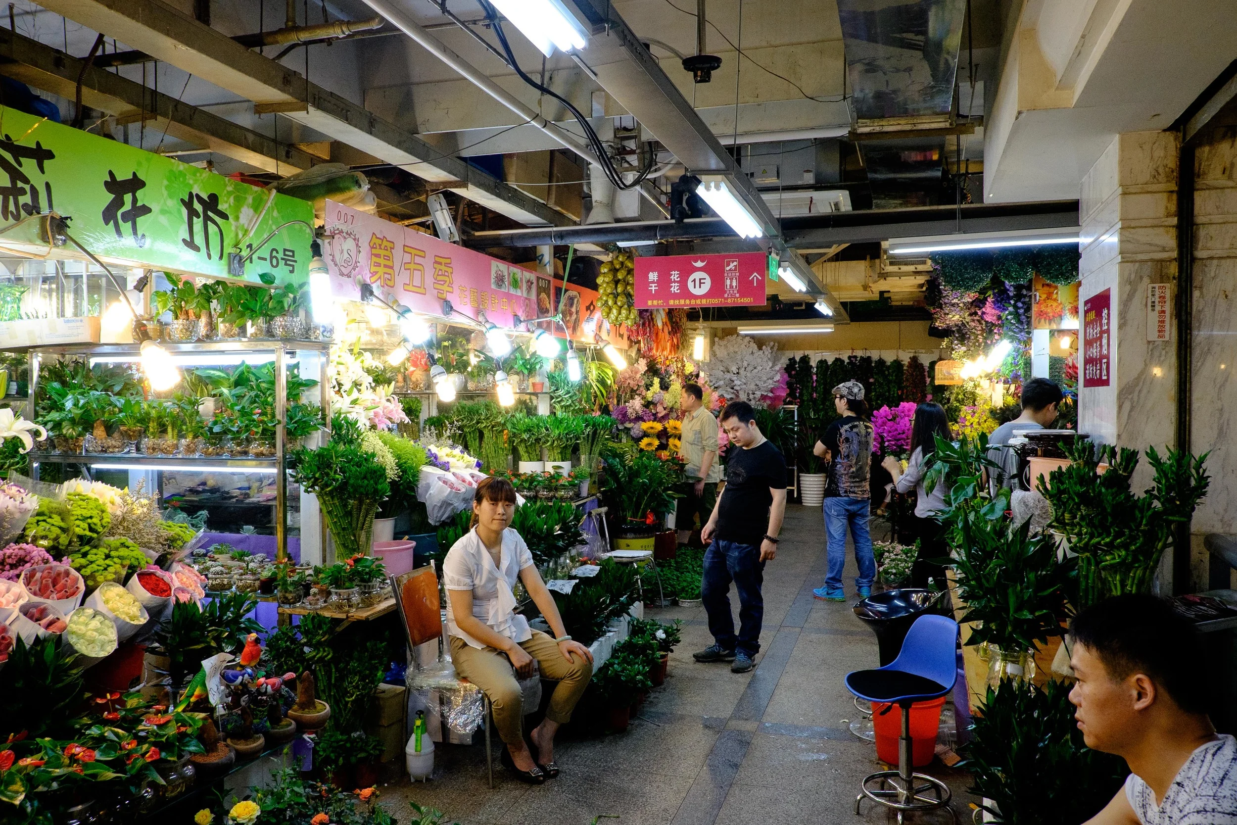 DSCF4458.jpg