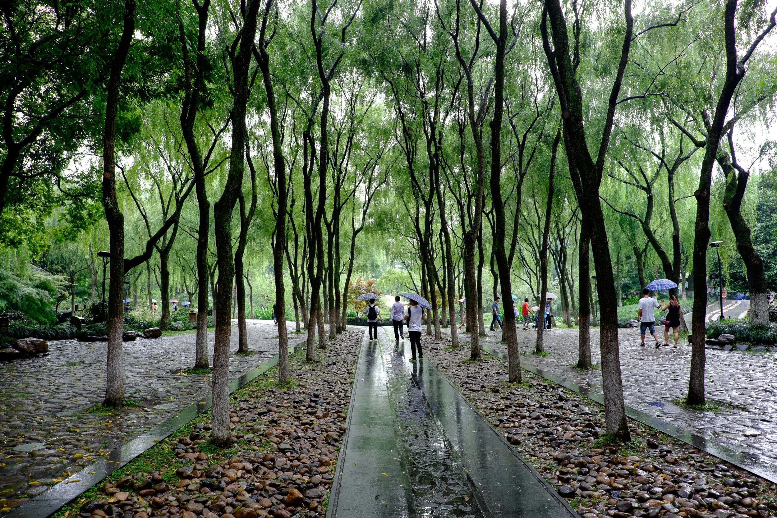 DSCF4465.jpg