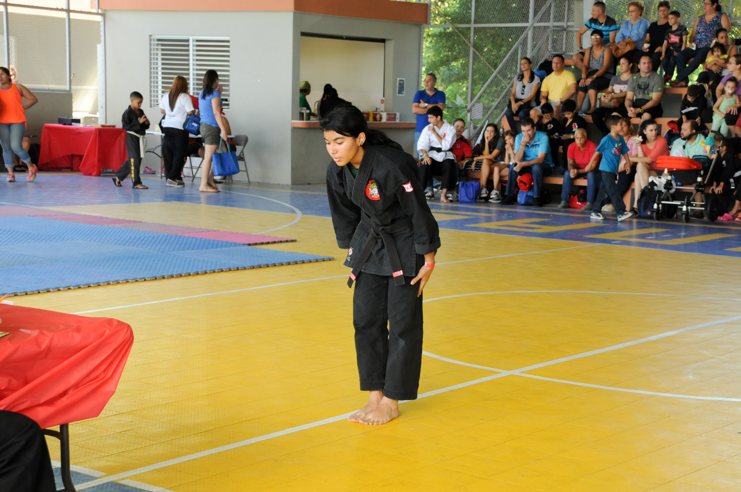 TORNEO-CANOVANAS-15 NOV 2015 (40).jpg