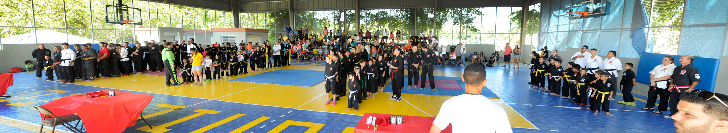 TORNEO-CANOVANAS-15 NOV 2015 (27).jpg
