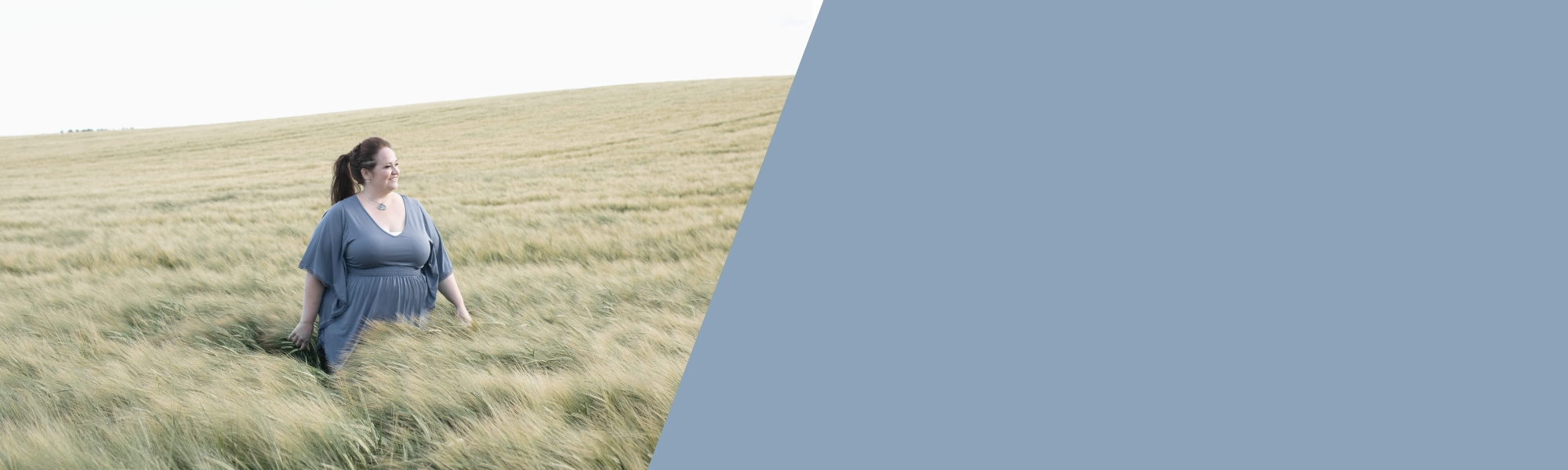 Sales Page Blank Banner Blue 4.jpg