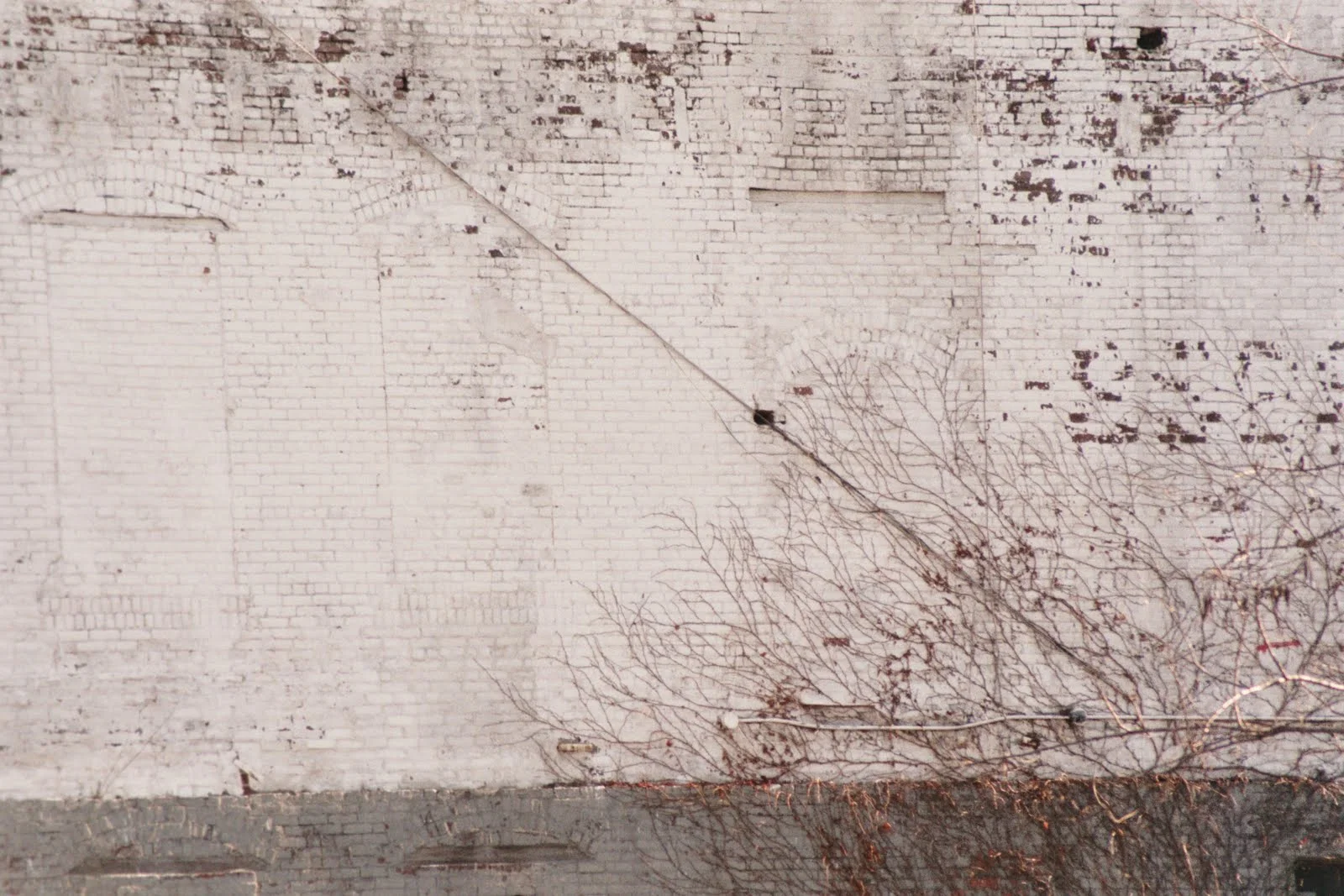   Windows , New York City. 35mm photograph. 2011-ongoing. 