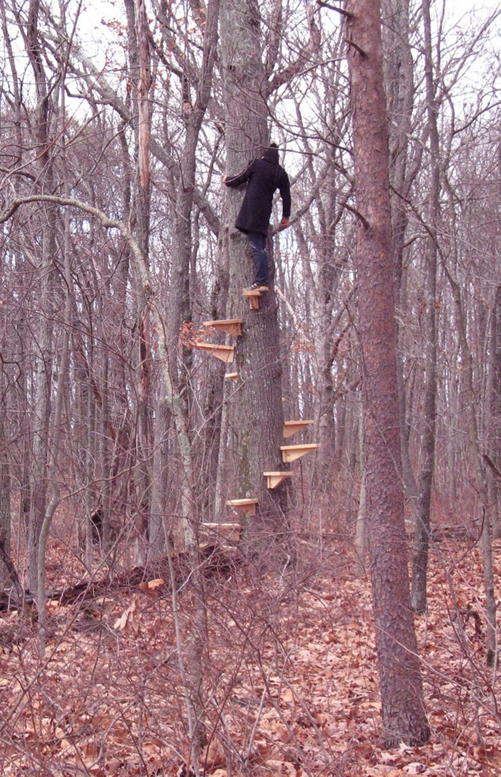 Spiral Staircase . Installation view on Lookout Mountain in Georgia. 2008.