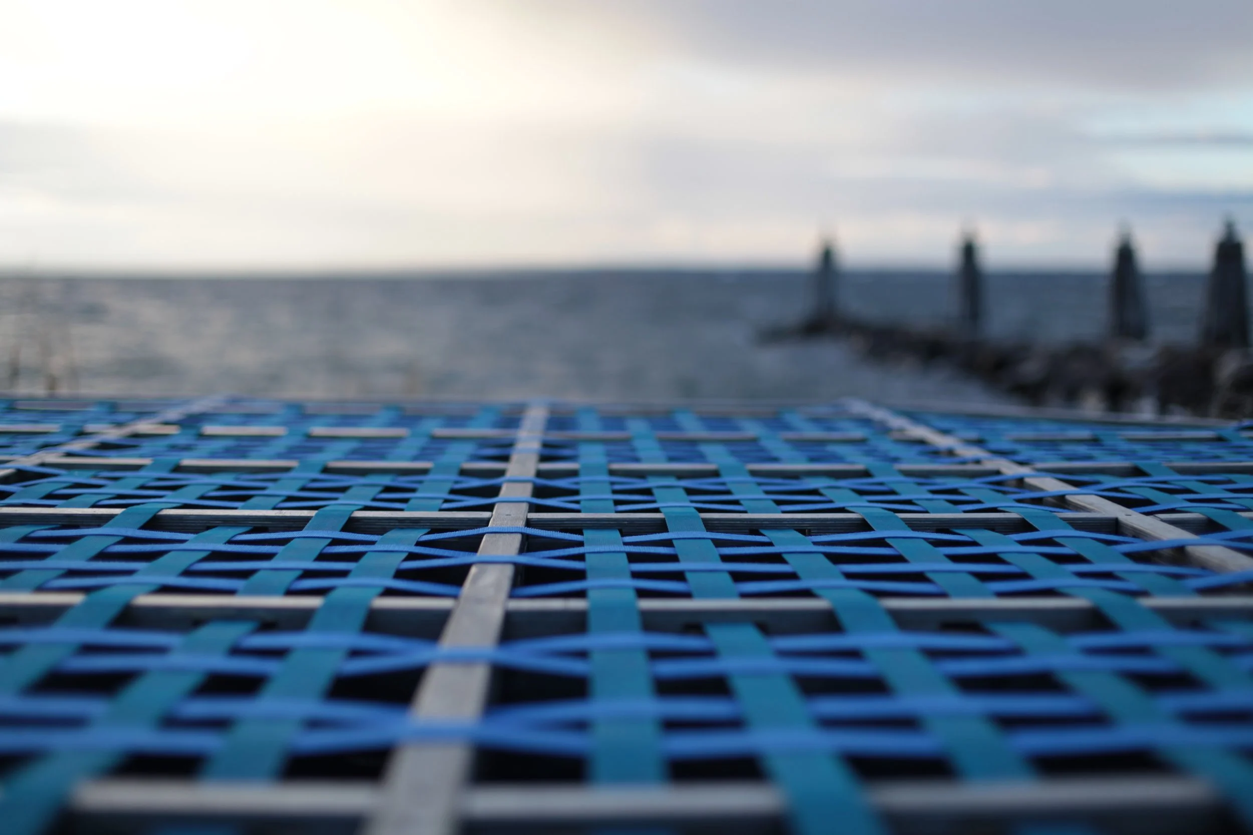 horizon webbing.JPG