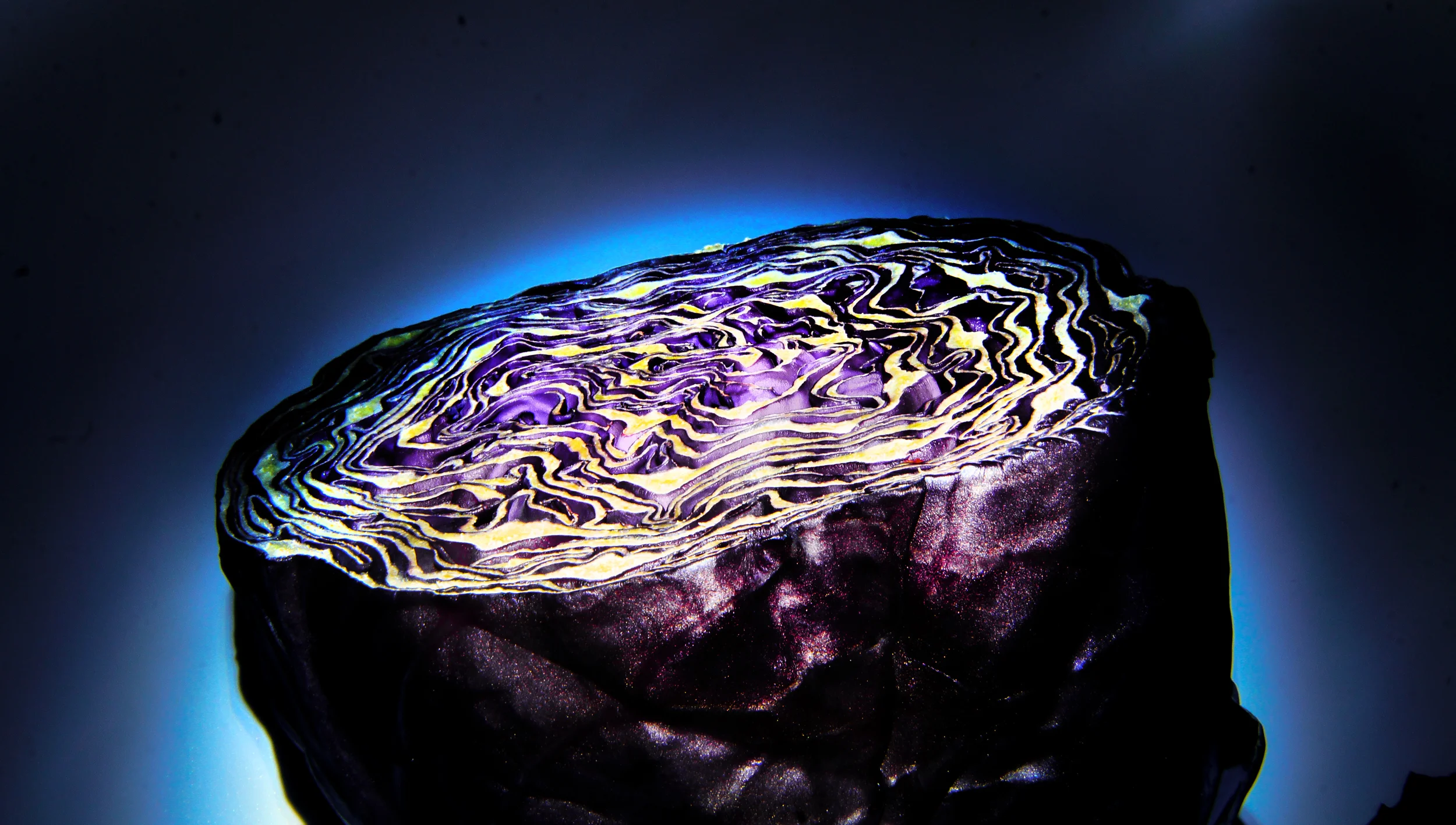red cabbage.jpg