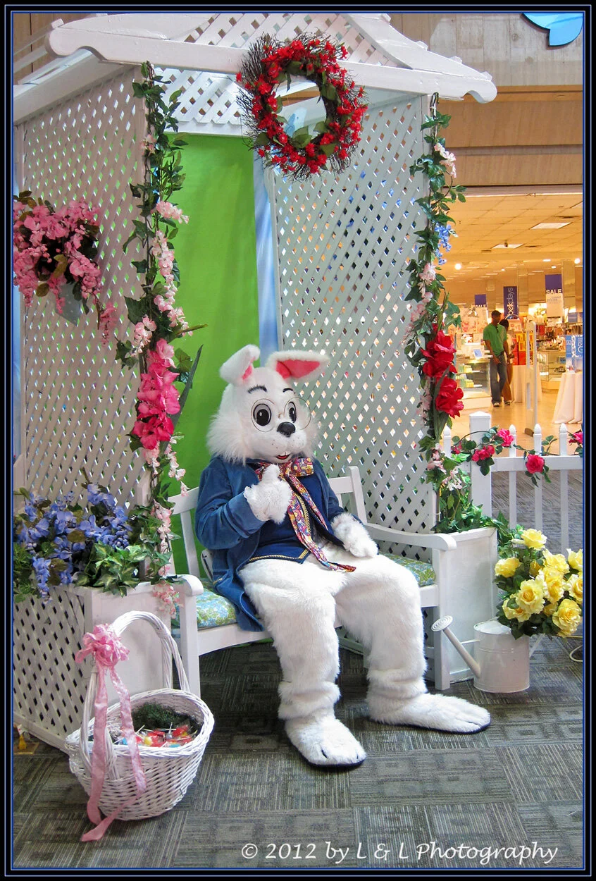 The Easter Bunny Comes to Paddock Mall
