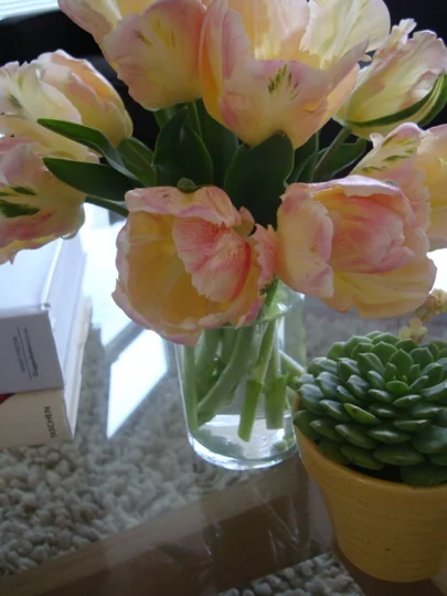 tulips-on-table