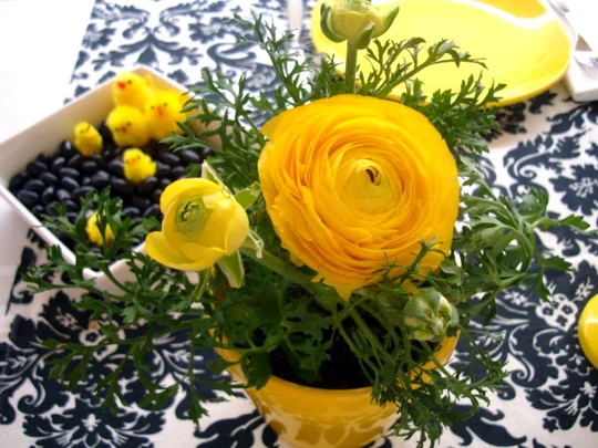 ranunculus-and-chicks-in-the-jellybeans