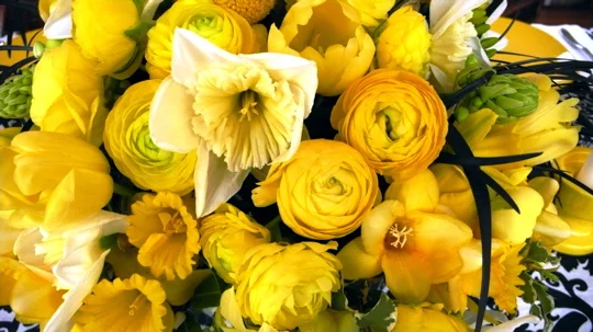 easter-flowers-close-up