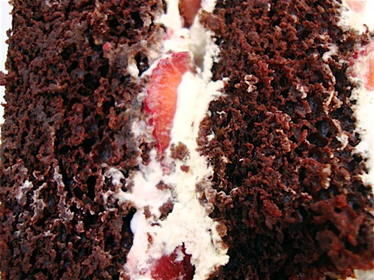 moist-cake