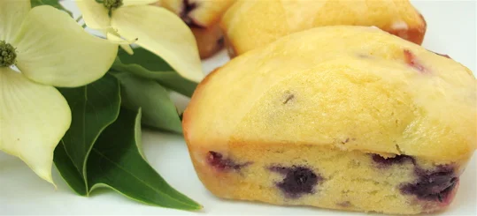 blueberry-lemon-cake