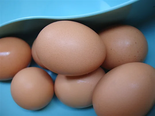 eggs