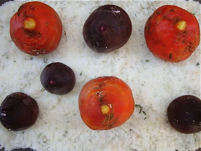 beets-c