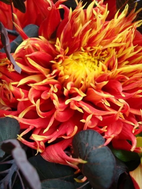 flaming