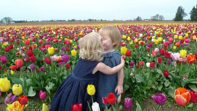 tulip5
