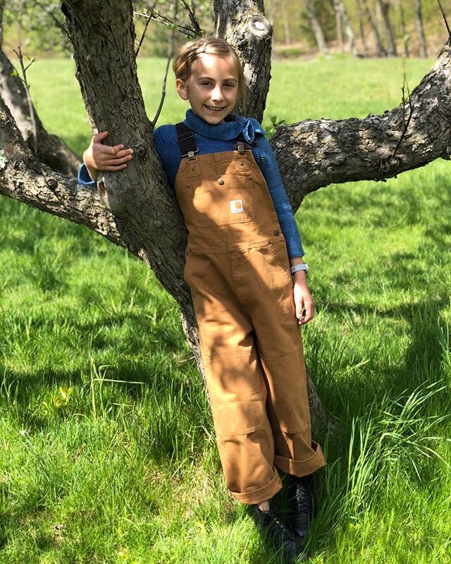 Hanging out under the apple blossoms.