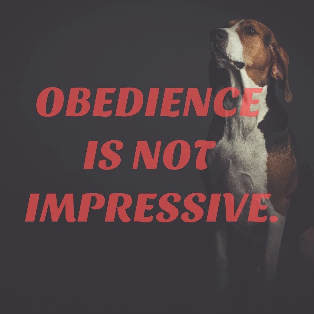 Obedience Is Not Impressive