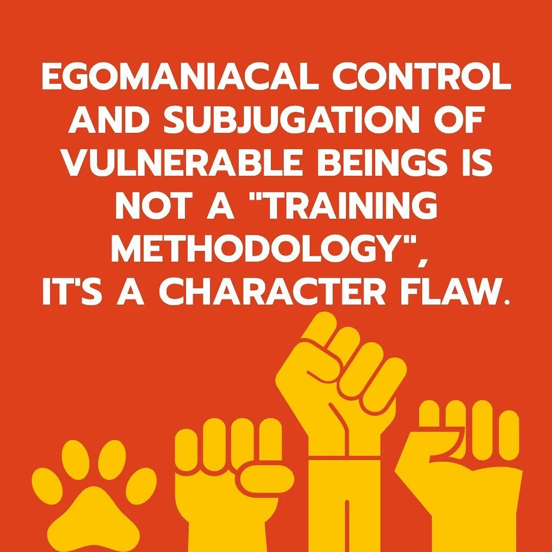 Dogs and Toxic Masculinity