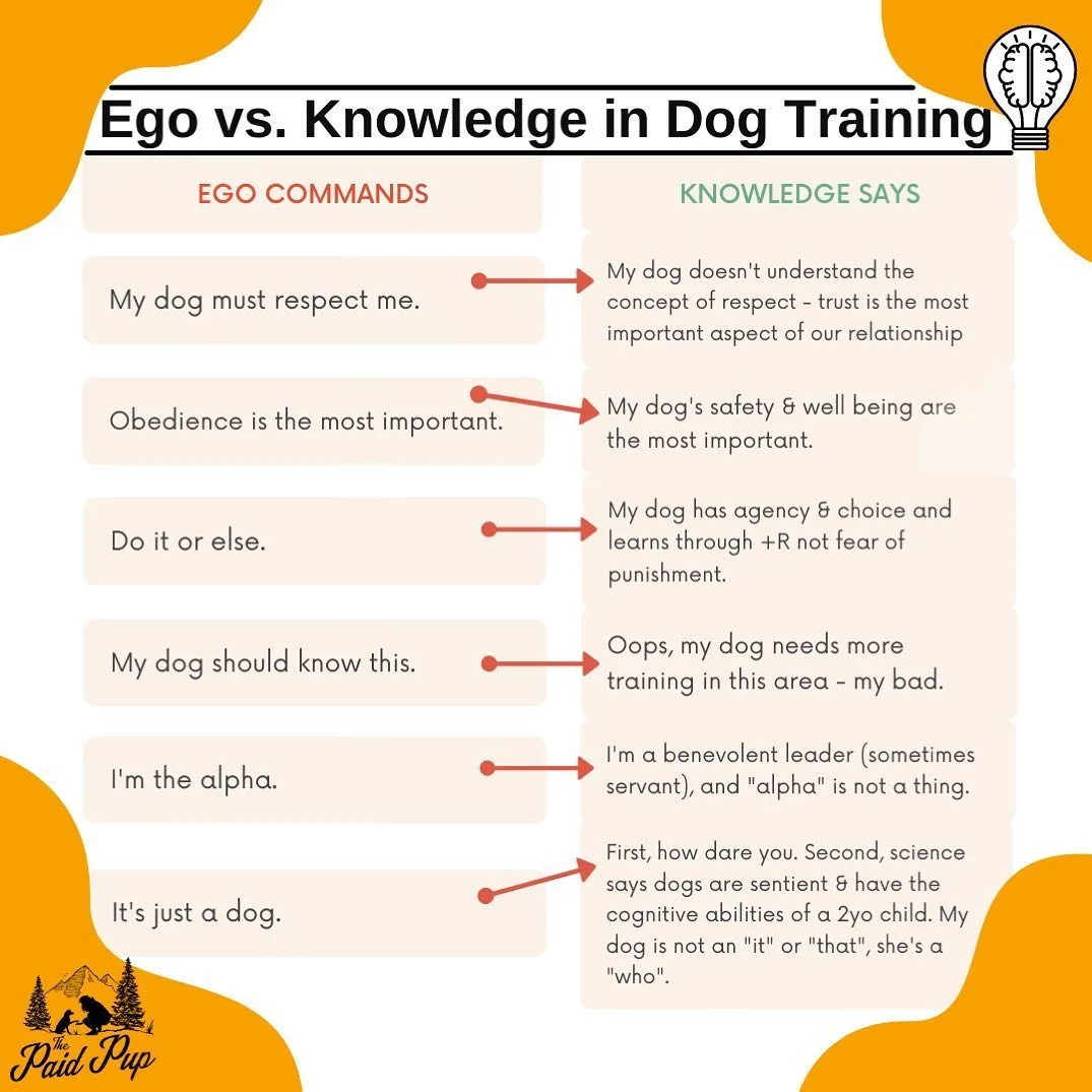 Ego vs. Knowledge 