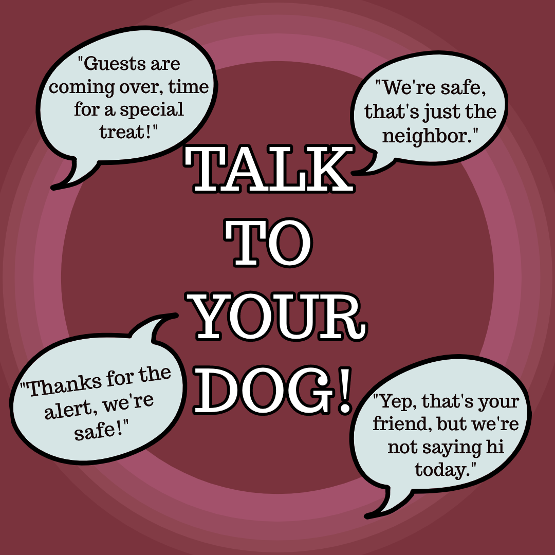 Talk To Your Dog!