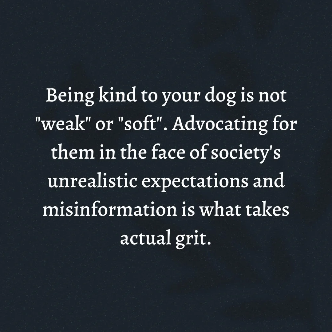 Being Kind to your Dog is not "Weak".