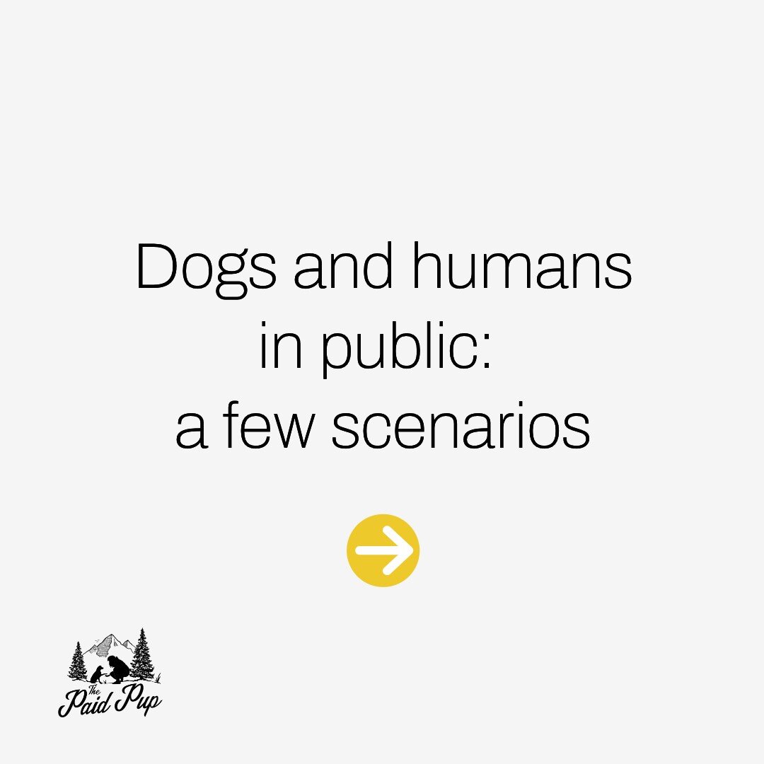 Alert! Humans aren't the only species to experience trauma. You truly never know what a dog and their human are going through, so please keep these analogies in mind as you navigate public spaces.

Description: 8 slides with words. Slide 1: Dogs and 