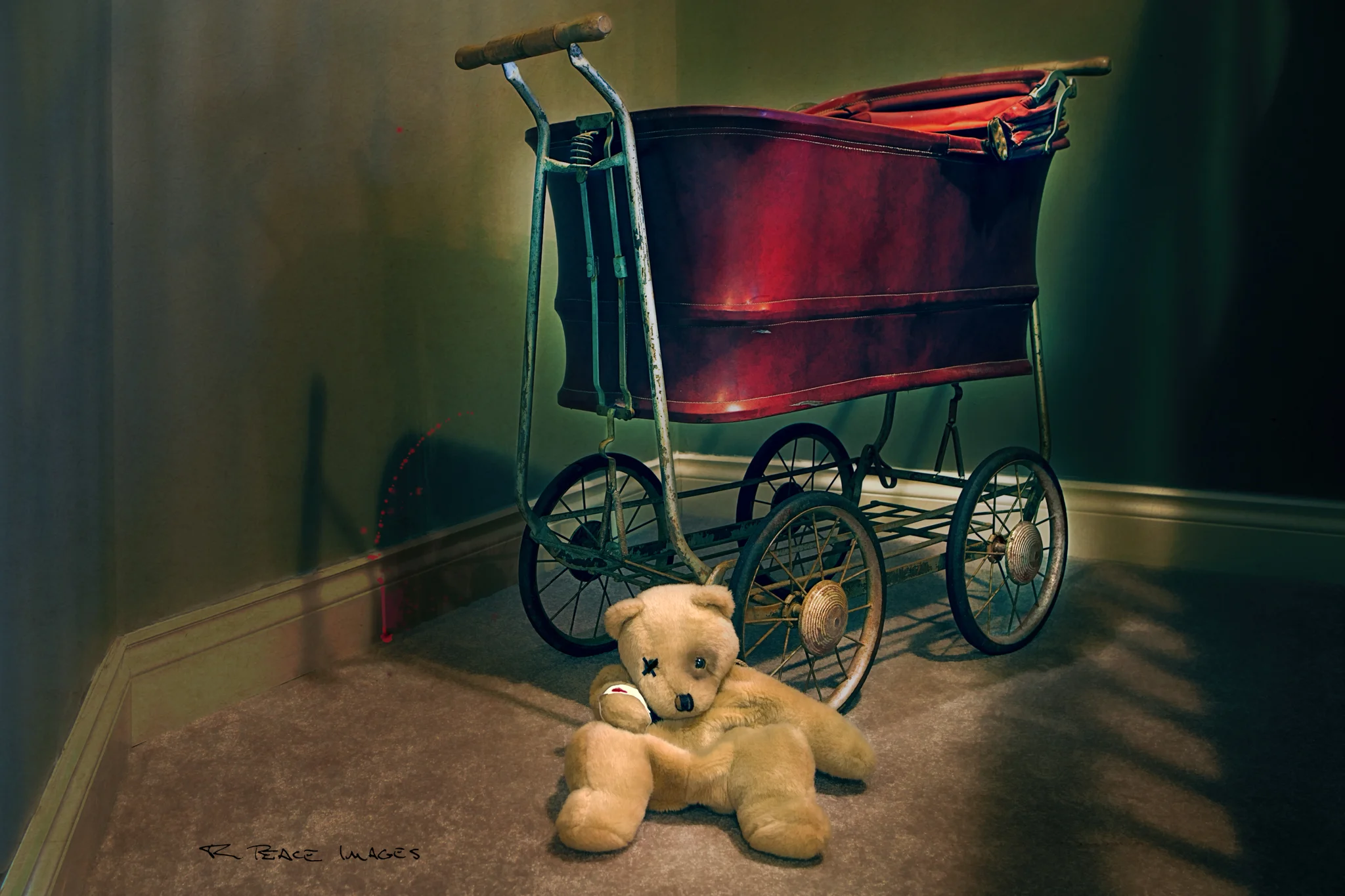 Photo of the year 2019 Central Okanagan Photographic Society.