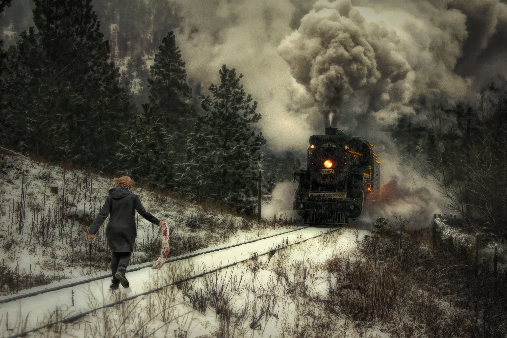 Girl on The Tracks, a composite photo that tells a very personal story of my wifes battle with cancer. She runs head long at the charging locomotive, confronting her disease. Sold
