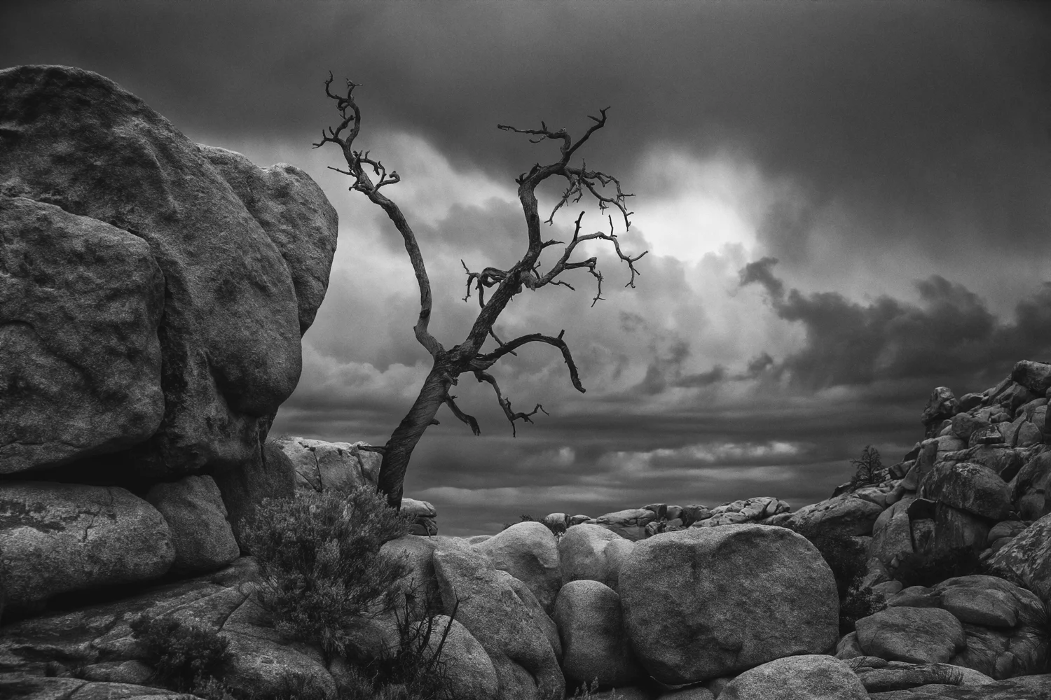 Printed on an aluminium panel this Biblical image jumps off the wall