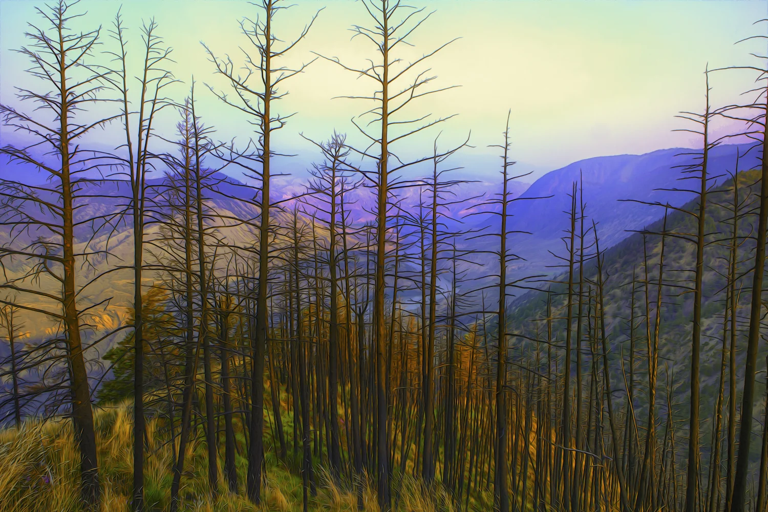 The Fraser River in the back ground of this burned off forest makes for an interesting graphic in this oversaturated image
