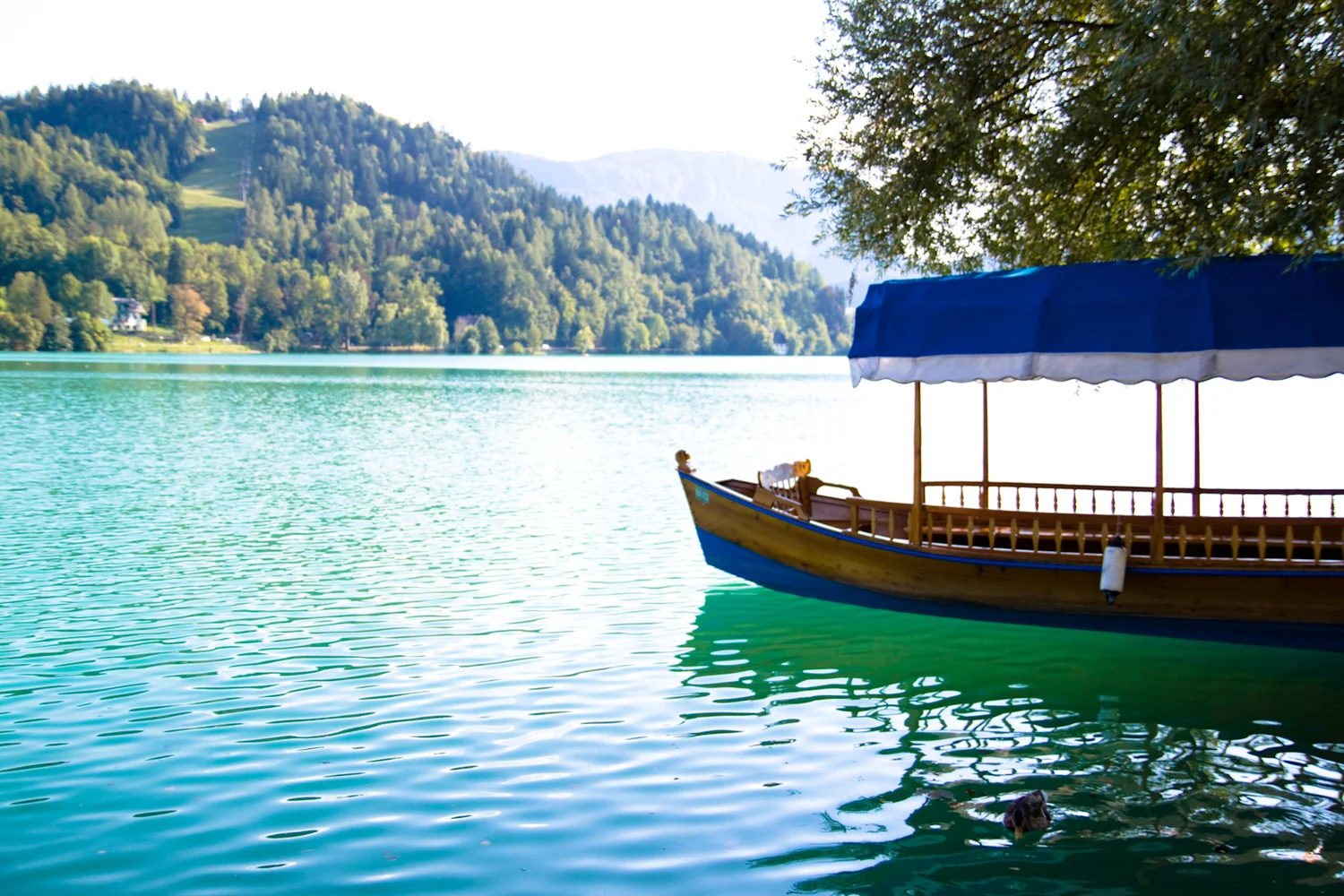 When in Bled - Slovenia