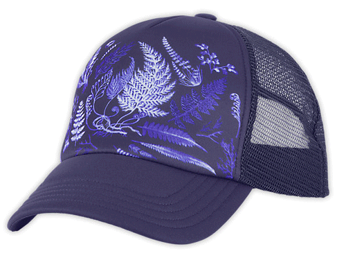 jnh-acc-hat8.gif