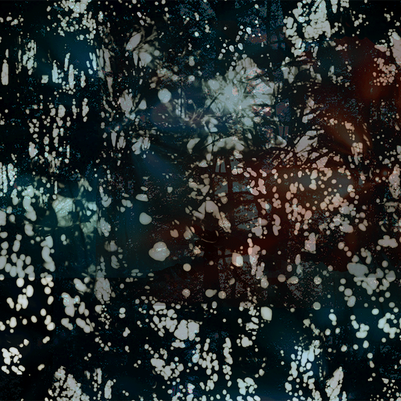 jnh-print-treelight.gif