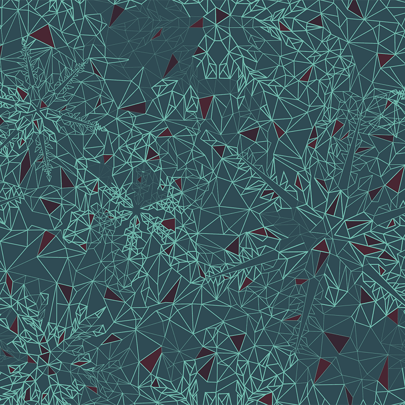 jnh-print-snowflake-detail1.gif