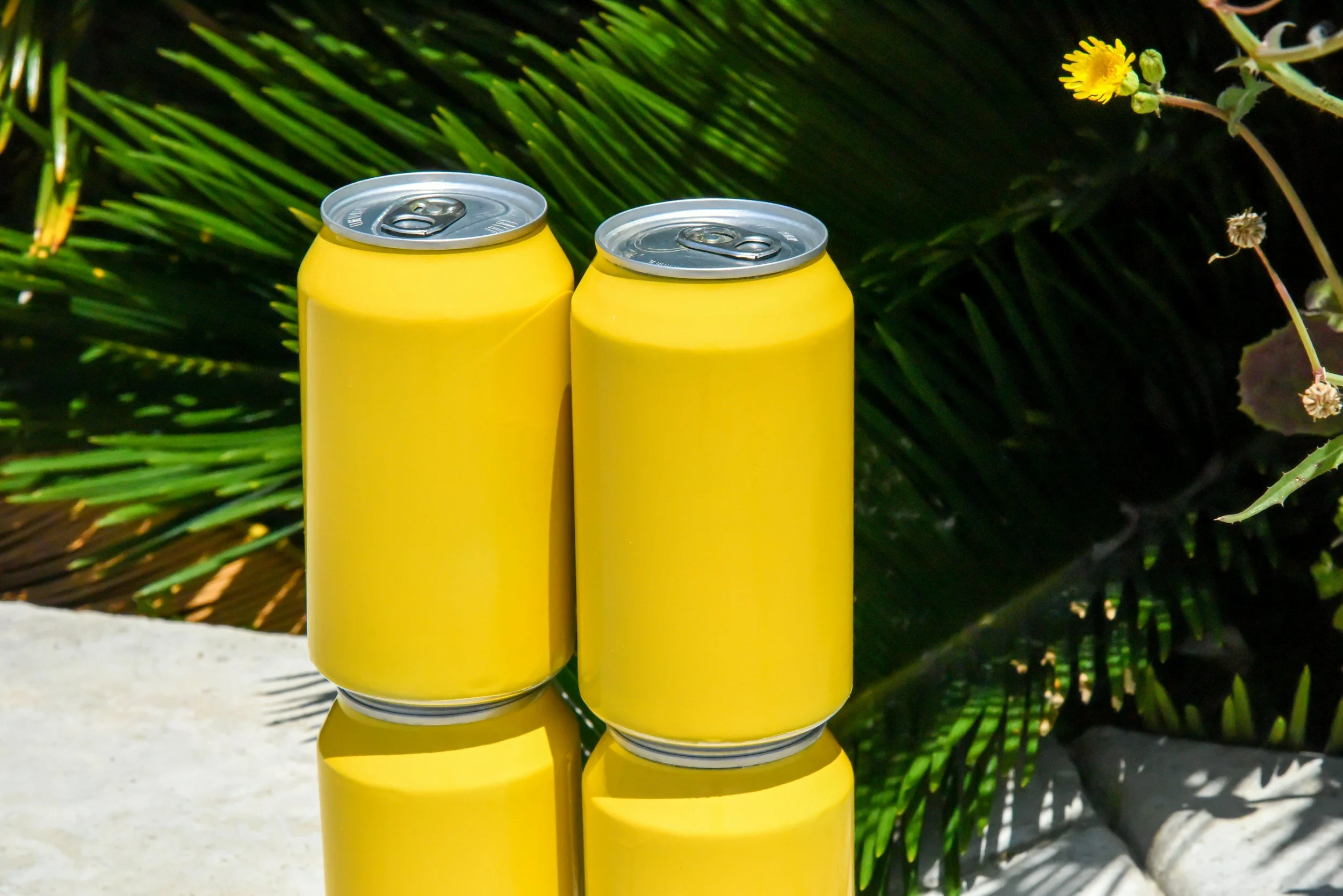 A great example of "can"