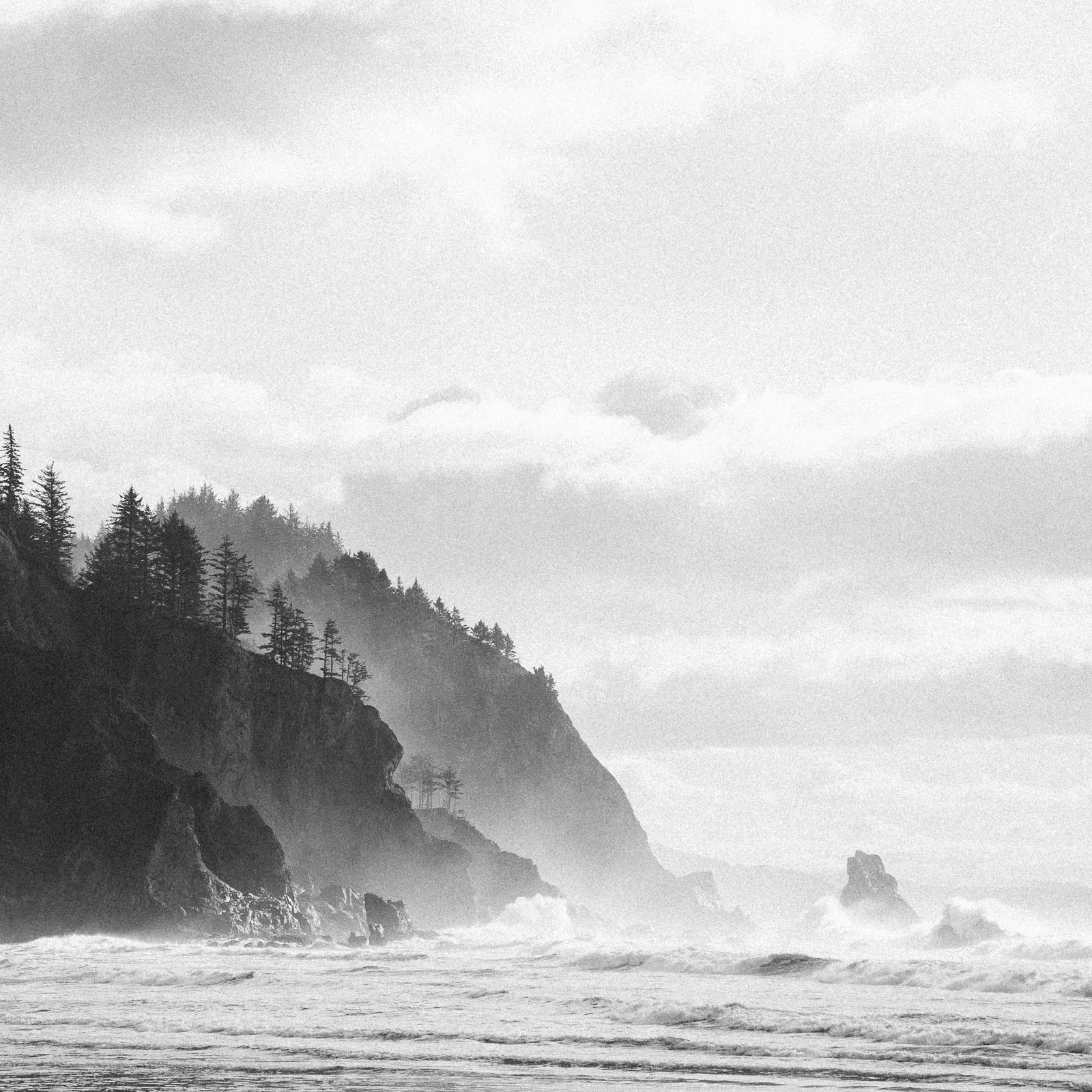 Oswald West State Park, OR
